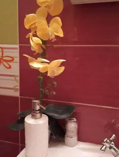 La Vue Marine Ii شقة *